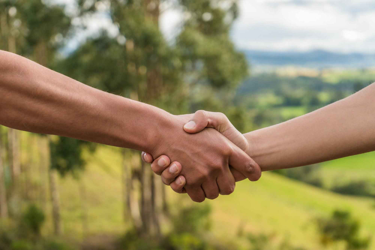 Zwei Hände schütteln sich vor einem verschwommenen Hintergrund aus Bäumen und grünen Hügeln