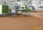Korkboden Klick „Salsa“ – mit Trittschalldämmung & wählbarer Oberfläche | 915 x 305 x 11 mm