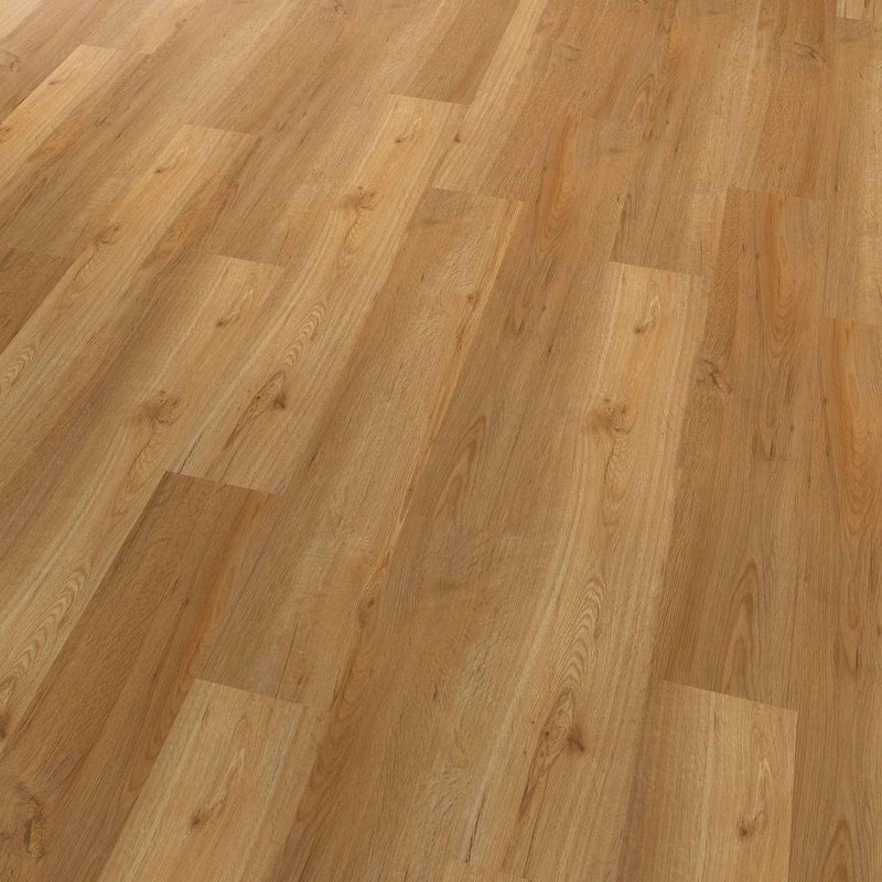 Klebe-Vinylboden – Wohnraum verschiedene Holz-Dekore