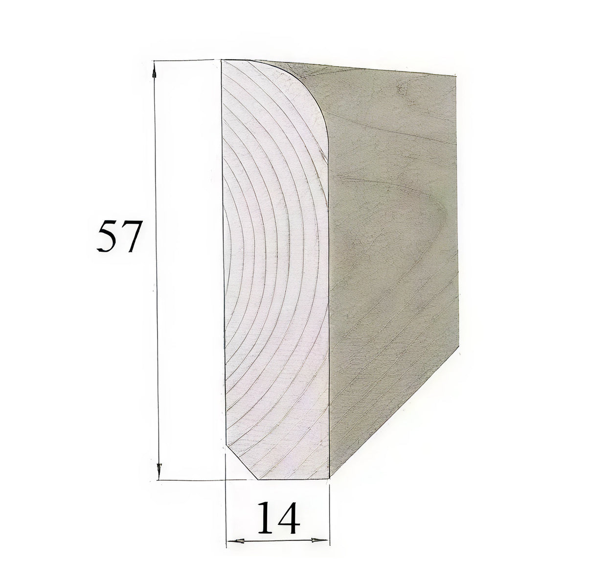 Fichte Fußleiste 401 roh – 14 x 57 x 2400 mm