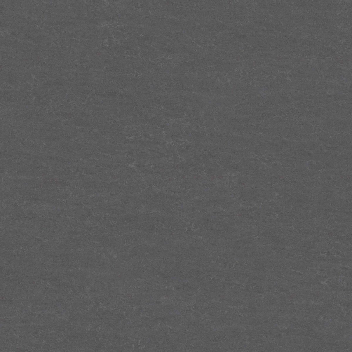 Graphit Linoleum-Klebefliese Pure – dunkler Designboden in moderner Steinoptik