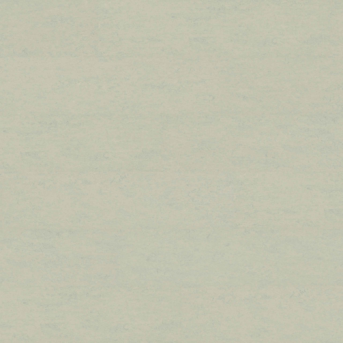 Lichtgrau Linoleum-Klebefliese Pure – heller Designboden in moderner Steinoptik