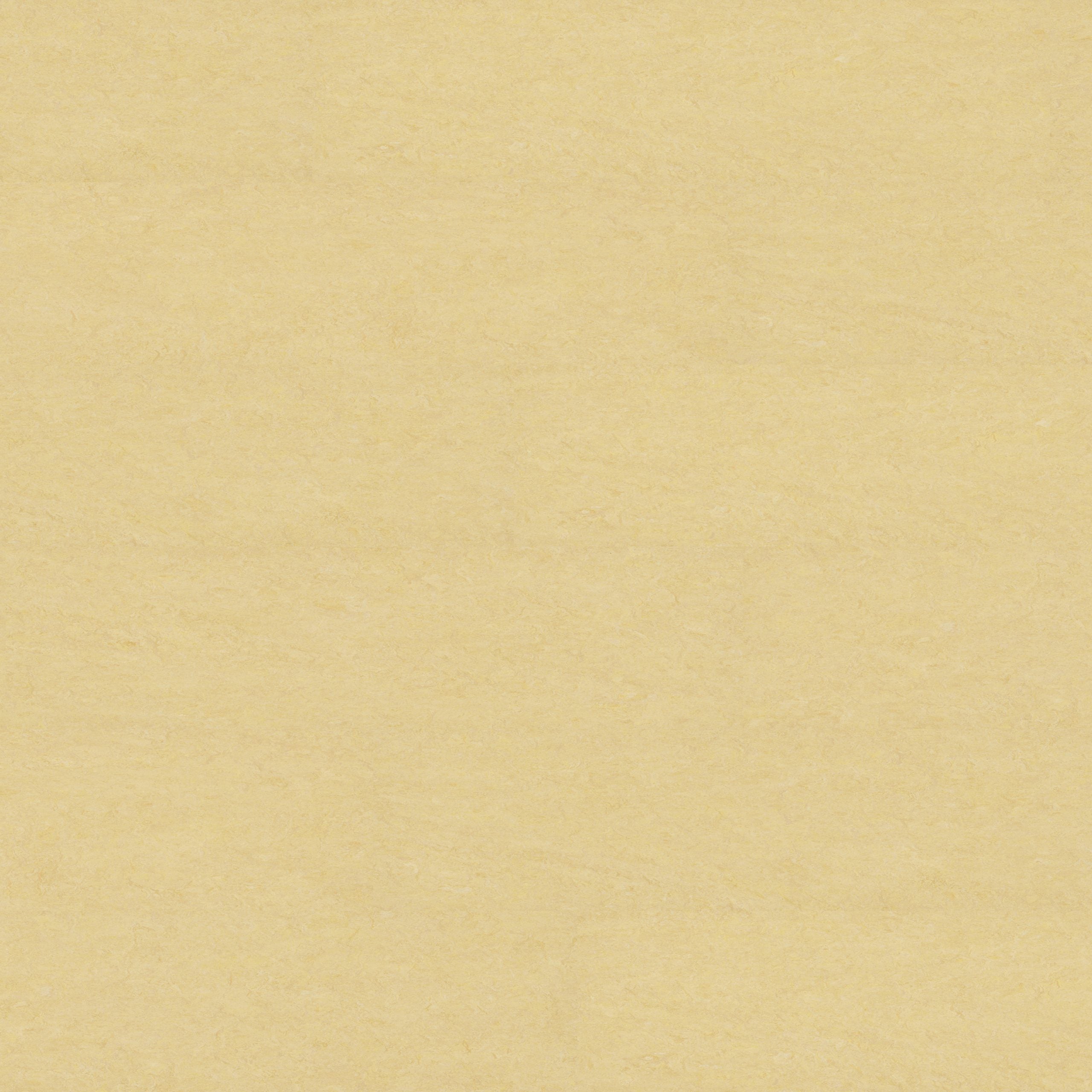 Mais Linoleum-Klebefliese Pure – warmer Designboden in natürlicher Sandoptik