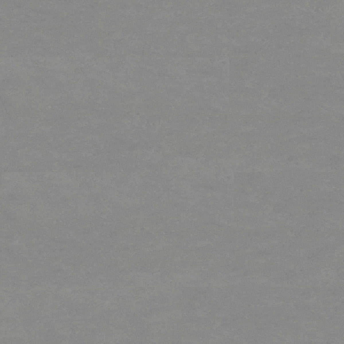 Schiefergrau Linoleum-Klebefliese Pure – wasserfester Linoleumboden in moderner Steinoptik