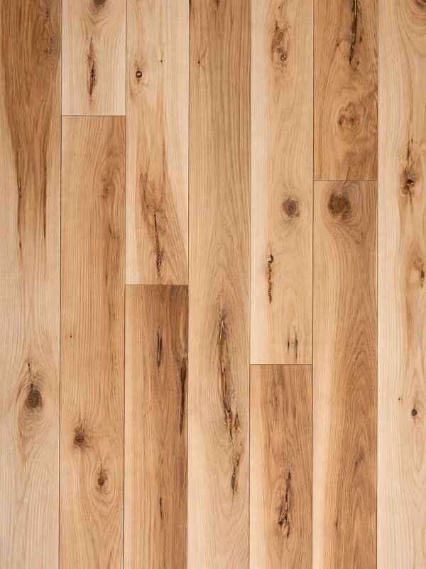 Esche Massivdiele Rustikal – naturbelassen | 15 oder 20 mm