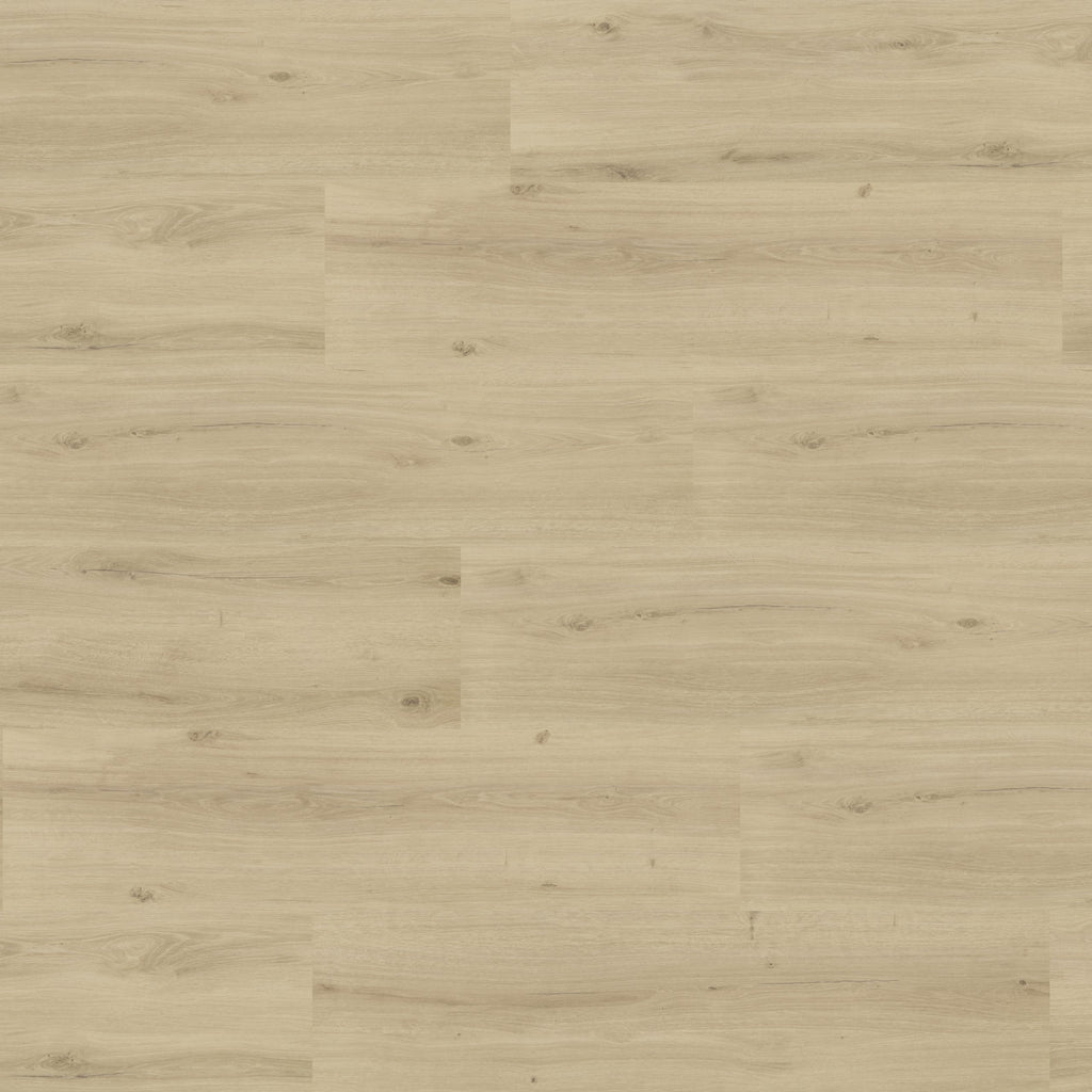 Eiche Natur Royal Printkork Life Silent – Korkboden in eleganter Eichenoptik