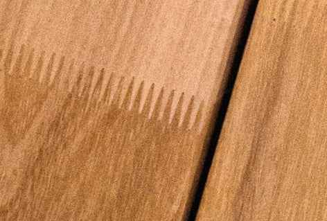Robinie Terrassendiele unbehandelt – glatt oder fein geriffelt 23 x 118 mm